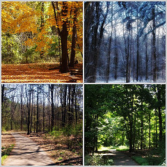 Change Of Seasons