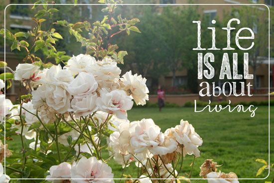 Life Is All About Living