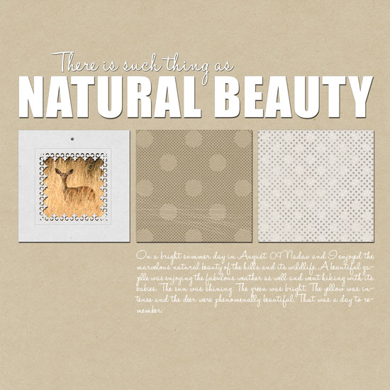 Natural Beauty Layout