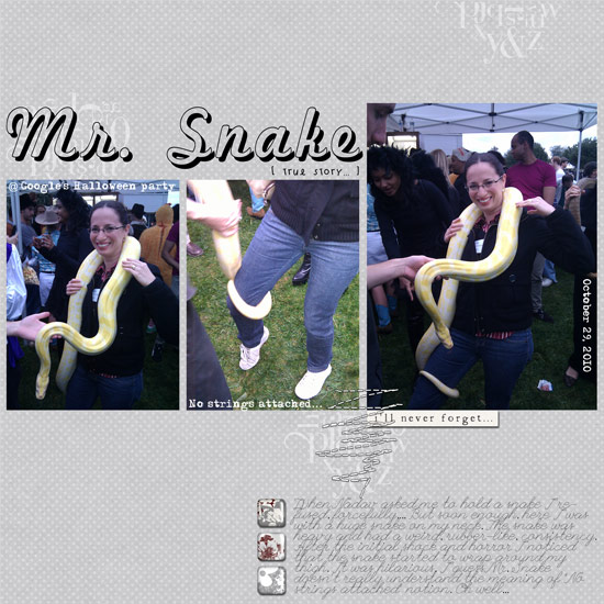 Mr. Snake