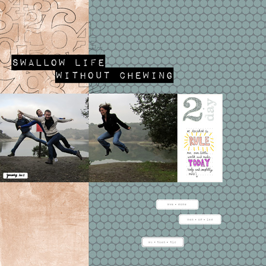 Swallow Life Without Chewing