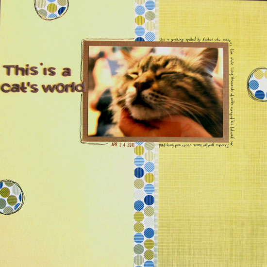 this is a cat's world layout